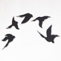 Wallity Birds - APT646MS